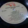 Bee Gees, Spirits Heaving Flown, LP 1979 US, RSO, płyta winylowa