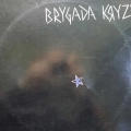 Brygada Kryzys, LP 1982 PL, Tonpress, płyta winylowa