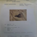 Art Lande and Rubisa Patrol, Desert Marauders, LP 1978 Germany, ECM, płyta winylowa