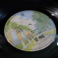 Taï Phong, Windows, LP 1976 France, Warner Bros Records, plyta winylowa