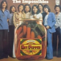 The Impossibles, Hot Pepper, LP 1975 Sweden, Philips, płyta winylowa