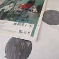 Redman, Malpractice 2LP USA 2001 first press, Def Jam, płyta winylowa