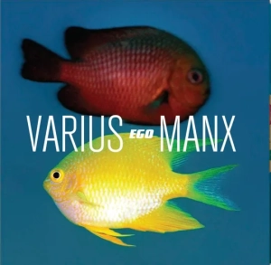 Varius Manx, Ego LP Blue Transparent, nowa płyta winylowa 