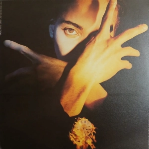 Terence Trent D'Arby, Terence Trent D'Arby's Neither Fish Nor Flesh (A Soundtrack Of Love, Faith, Hope & Destruction) LP Holland 1989, płyta winylowa