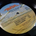 Rice And Beans Orchestra, Cross Over, LP 1977 US, Dash, płyta winylowa