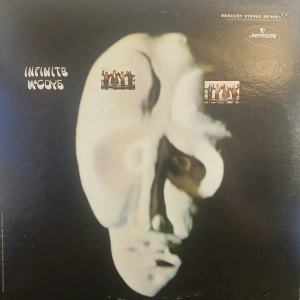 Infinite McCoys LP psych USA 1968, płyta winylowa