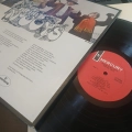 Infinite McCoys LP psych USA 1968, płyta winylowa