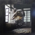 Dream Theater, Parasomnia, 2LP 2025 EU, Sony Music, płyta winylowa