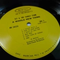 Sly & The Family Stone,  A Whole New Thing, LP 1967 US, Epic, płyta winylowa