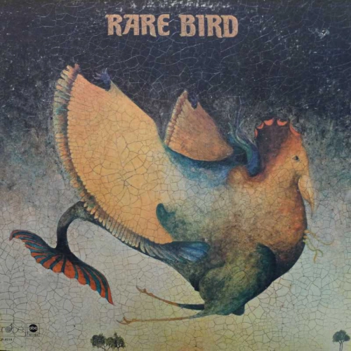 Rare Bird, Rare Bird, LP 1970 US, ABC Records/Probe, płyta winylowa