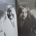 Rare Bird, Rare Bird, LP 1970 US, ABC Records/Probe, płyta winylowa