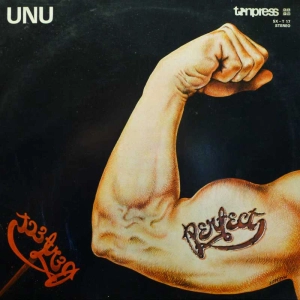 Perfect, UNU, LP 1982 PL,  Tonpress, płyta winylowa