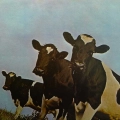 Pink Floyd, Atom Heart Mother, LP 1974 Japan, Emi Harvest, płyta winylowa