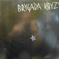 Brygada Kryzys, LP 1982 PL, Tonpress, płyta winylowa