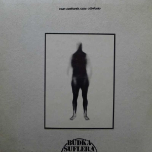 Budka Suflera, Czas Czekania, Czas Olśnienia LP 1984 PL,Polton, płyta winylowa