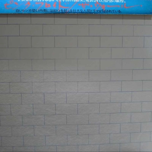 Pink Floyd, The Wall 2LP 1979 Japan PROMO, CBS/Sony, płyta winylowa 