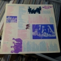 The Red Hot Chili Peppers, The Red Hot Chili Peppers, LP 1984 US, EMI America, płyta winylowa