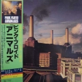 Pink Floyd, Animals, LP 1977 Japan , CBS/Sony, płyta winylowa