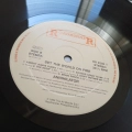 Annihilator, Set The World On Fire LP Holland 1993, Roadrunner, płyta winylowa metal