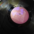 Sonic Youth, Bad Moon Rising, LP 1985 US, Homestead Records, płyta winylowa