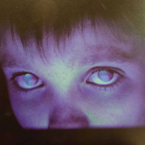 Porcupine Tree,  Fear Of A Blank Planet, 2LP 2007 Holland, Tonefloat, płyta winylowa