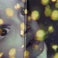 Porcupine Tree,  Fear Of A Blank Planet, 2LP 2007 Holland, Tonefloat, płyta winylowa
