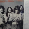 UFO, No heavy petting, LP 1976 Japan, Chrysalis, płyta winylowa