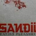Sandii, Eating Pleasure, LP 1980 Japan, Alfa, płyta winylowa
