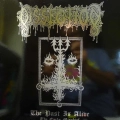 Dissection, The Past Is Alive (The Early Mischief), LP 2018 Holland,  Hammerheart Records, płyta winylowa