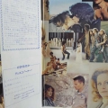 Galt MacDermot, Hair (Original Soundtrack Recording), 2LP 1979 Japan, RCA, płyta winylowa