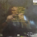 Sinéad O'Connor, I Do Not Want What I Haven't Got, LP 1990 EU, Chrysalis, płyta winylowa