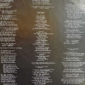 Sinéad O'Connor, I Do Not Want What I Haven't Got, LP 1990 EU, Chrysalis, płyta winylowa