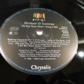 Sinéad O'Connor, I Do Not Want What I Haven't Got, LP 1990 EU, Chrysalis, płyta winylowa