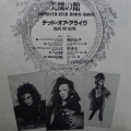 Dead Or Alive, Sophisticated Boom Boom, LP 1984 Japan, Epic, płyta winylowa