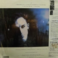 Dead Or Alive, Mad, Bad And Dangerous To Know, LP 1986 Japan, Epic, płyta winylowa 