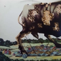 BullAngus, BullAngus, LP 1971 US, Mercury płyta winylowa