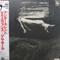 Bill Evans, Jim Hall, Undercurrent, LP 1984 PROMO Japan, Liberty, płyta winylowa