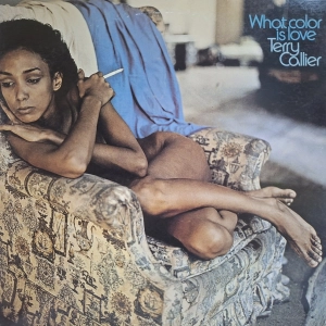 Terry Callier, What Color Is Love Japan 1996, jazz funk, płyta winylowa