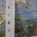 The Allman Brothers Band, Eat A Peach, LP 1976 Japan, Capricorn Records, płyta winylowa