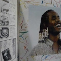 Stevie Wonders, Journey Through The Secret Life Of Plants, 2LP 1979 Japan, Motown, płyta winylowa