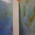 King Crimson, In The Wake Of Poseidon, LP Japan 1974, Atlantic, płyta winylowa