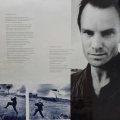 Sting, The Dream Of The Blue Turtles, LP 1985  Japan,  AM Records, płyta winylowa