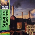 Pink Floyd, Animals, LP 1977 Japan , CBS/Sony, płyta winylowa