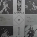 Pink Floyd, Animals, LP 1977 Japan , CBS/Sony, płyta winylowa