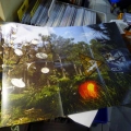 O.S.T.R.  Hades, HAO2, LP 2020 PL, Asfalt Records, płyta winylowa
