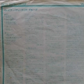Patti Smith Group, Wave, LP 1979 Japan, Arista, płyta winylowa