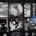The Offspring, Conspiracy Of One, LP 2000 US, SonyMusic, płyta winylowa