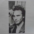 Sting - ...Nothing Like The Sun, 2 LP 1987 Germany , AM Records, płyta winylowa