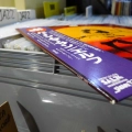  ELF, Trying To Burn The Sun, LP 1977 Japan, Safari Records, płyta winylowa