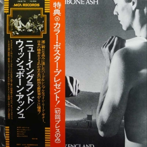 Wishbone Ash, New England, LP 1976 Japan, MCA Records, płyta winylowa